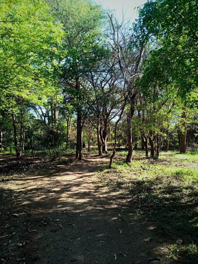 Munga Eco-Lodge Livingstone Bagian luar foto