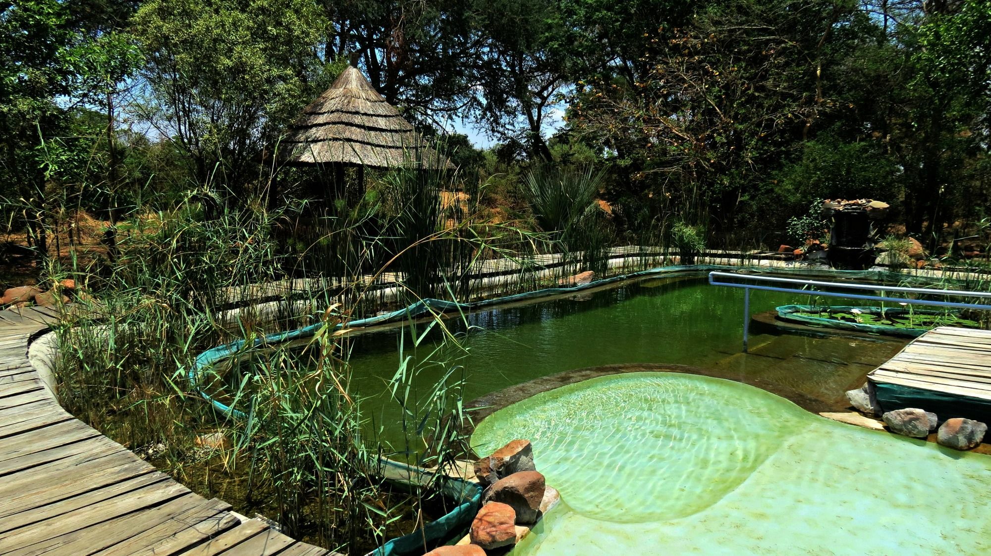 Munga Eco-Lodge Livingstone Bagian luar foto